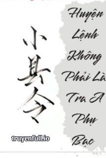 Huyện Lệnh Không Phải Là Tra A Phụ Bạc book cover