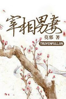 Nam thê của Tể tướng book cover